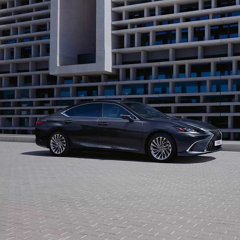 lexus business